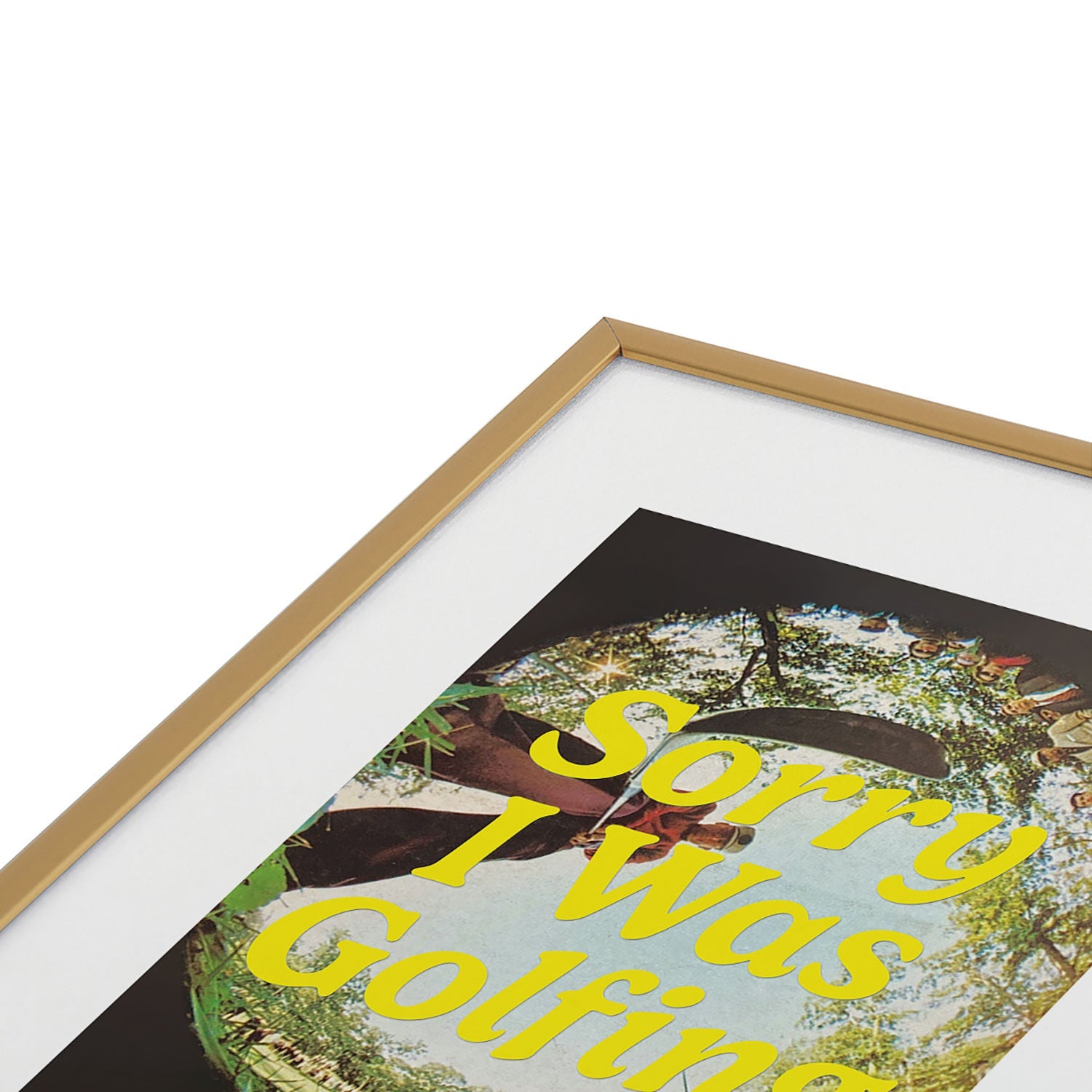 DENY Designs GolfFisheye Metal Framed Art Print