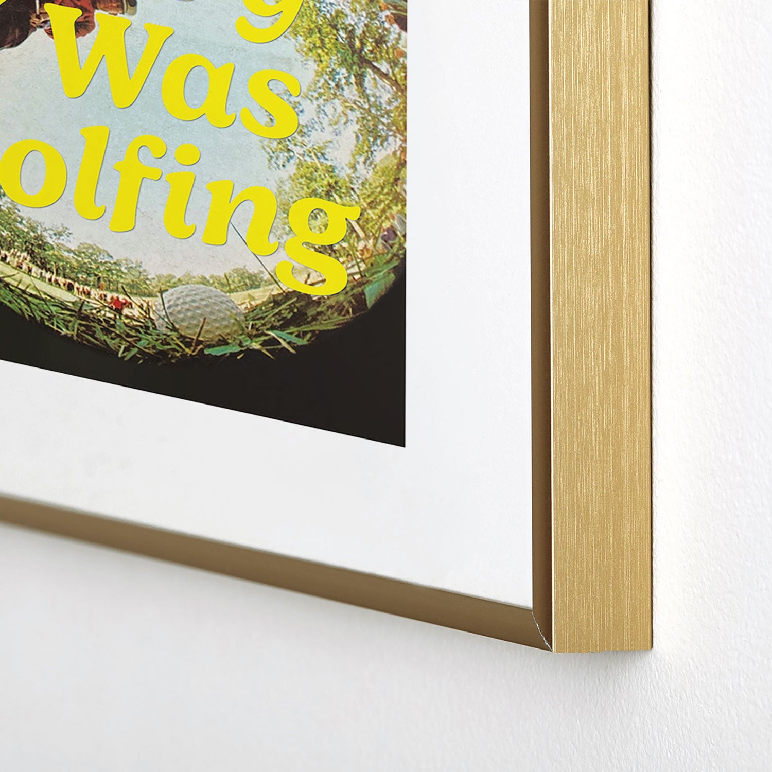 DENY Designs GolfFisheye Metal Framed Art Print