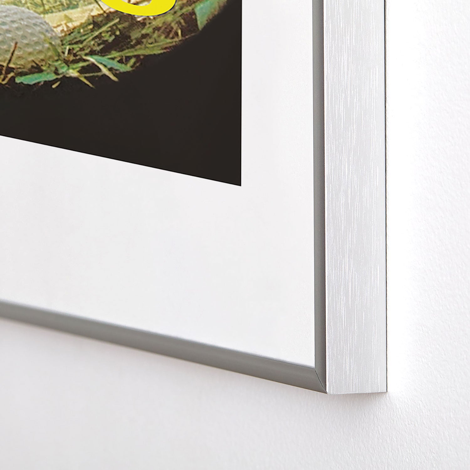 DENY Designs GolfFisheye Metal Framed Art Print