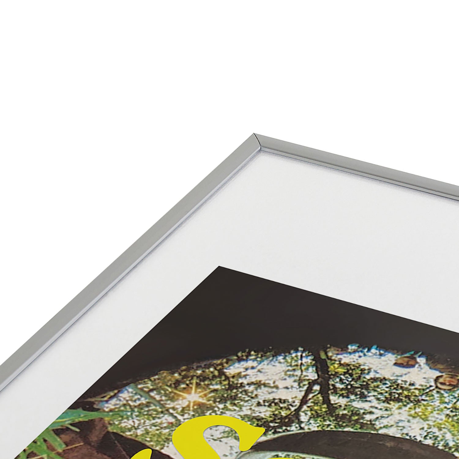 DENY Designs GolfFisheye Metal Framed Art Print