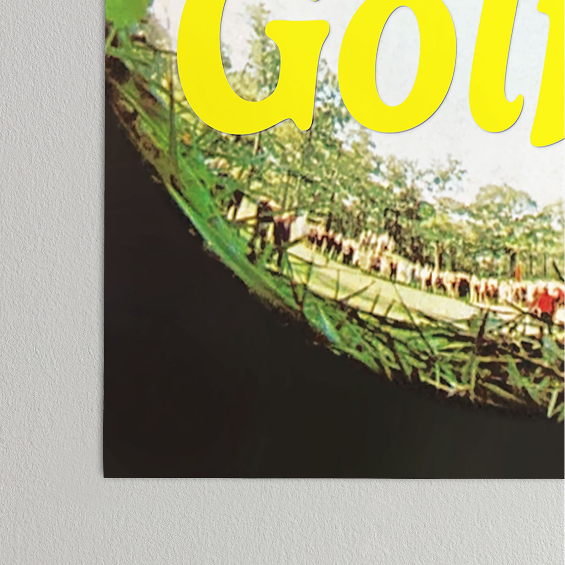DENY Designs GolfFisheye Poster
