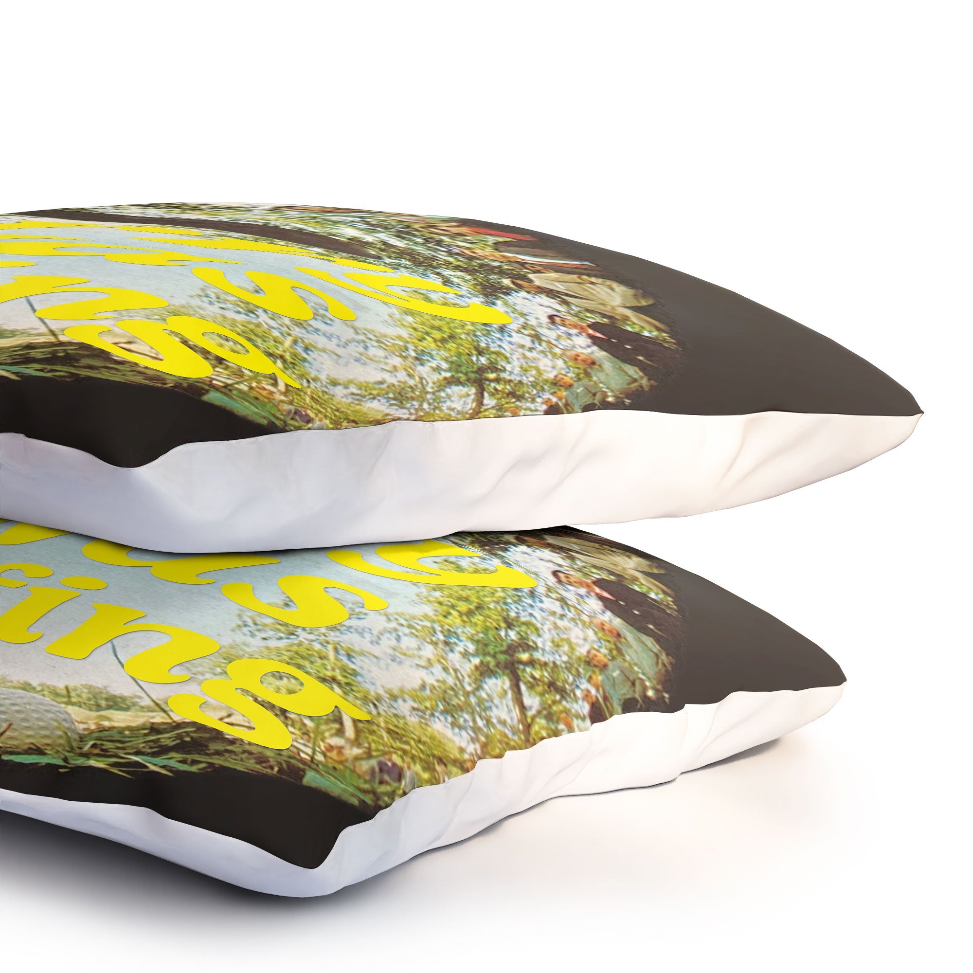 DENY Designs GolfFisheye Pillow Shams