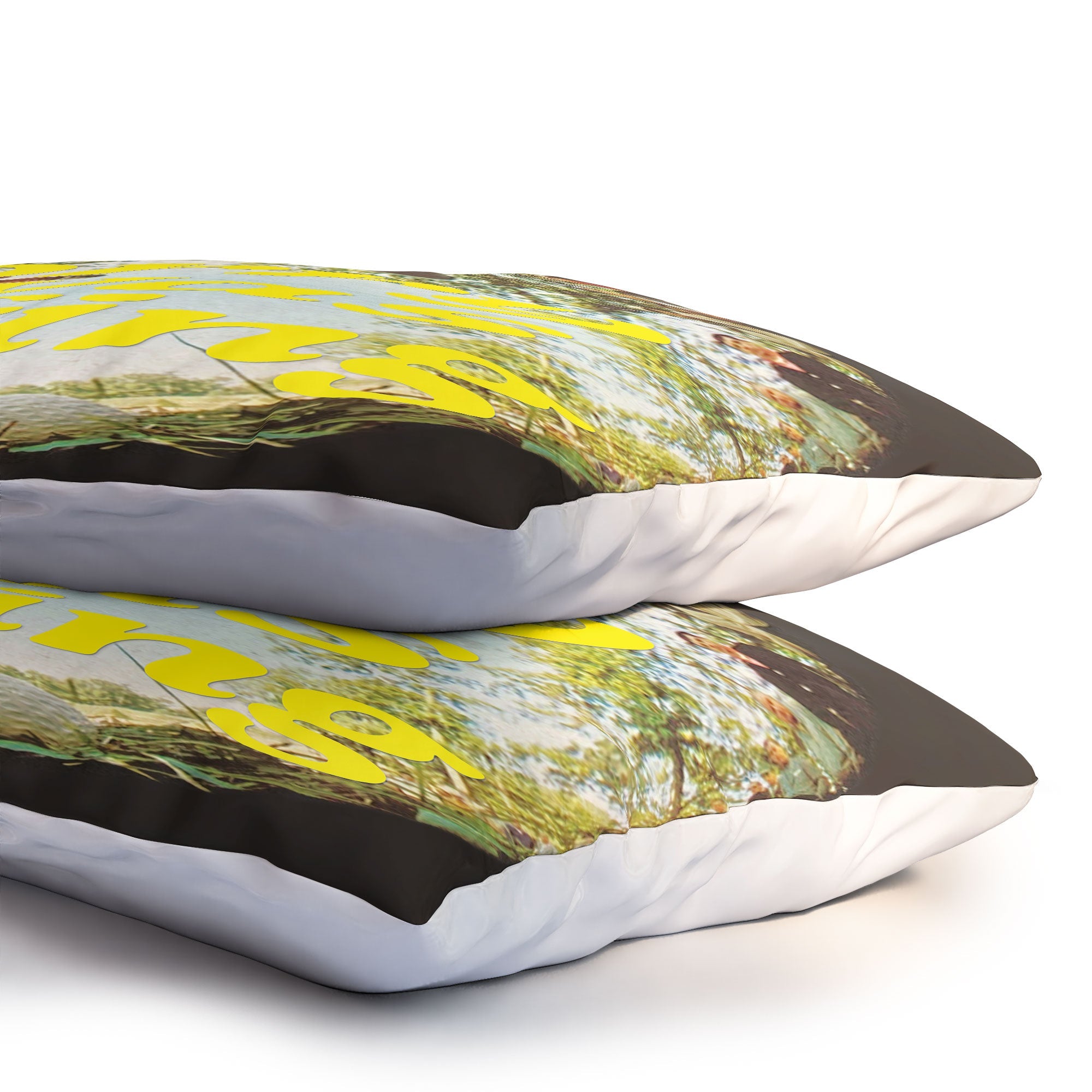 DENY Designs GolfFisheye Pillow Shams