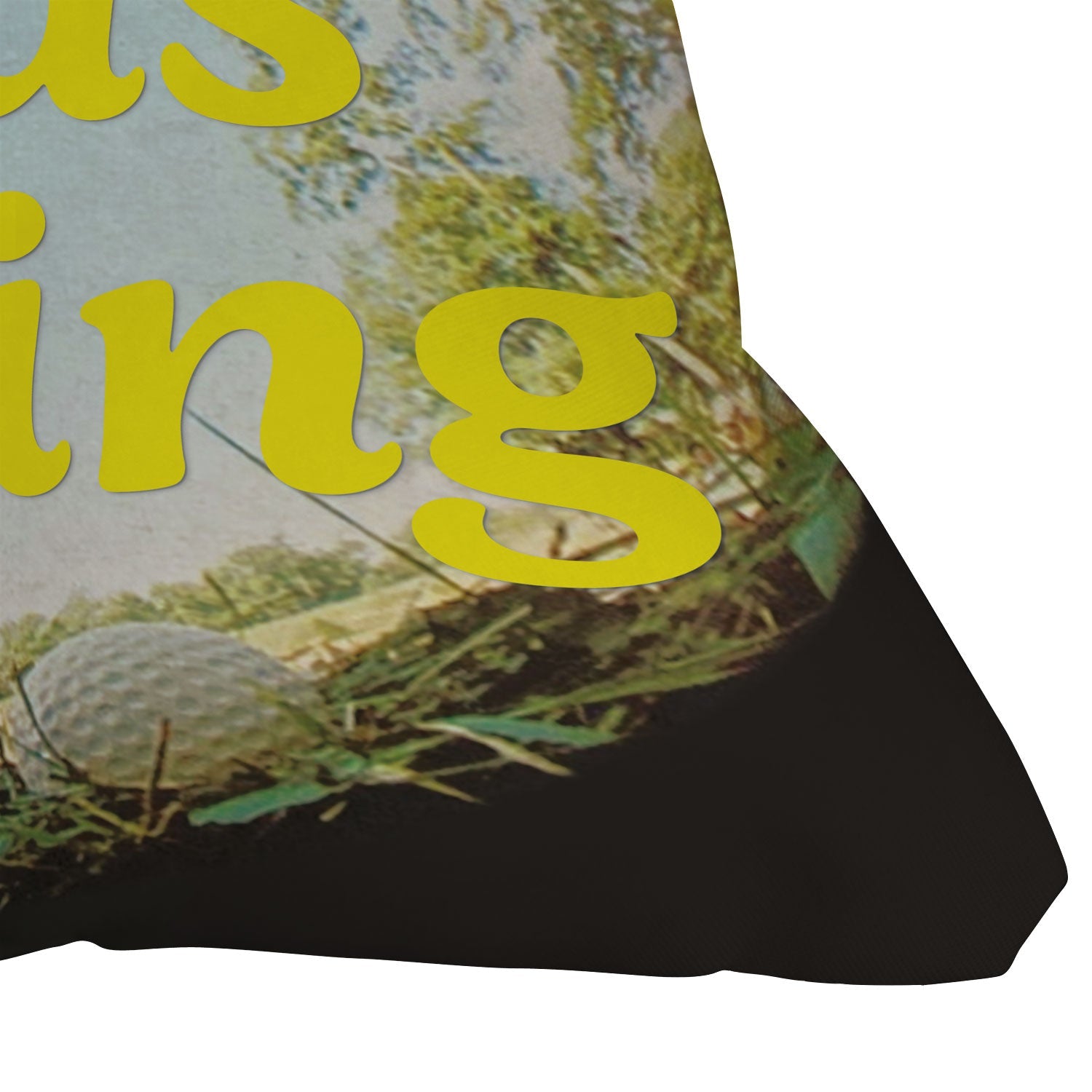 DENY Designs GolfFisheye Outdoor Throw Pillow