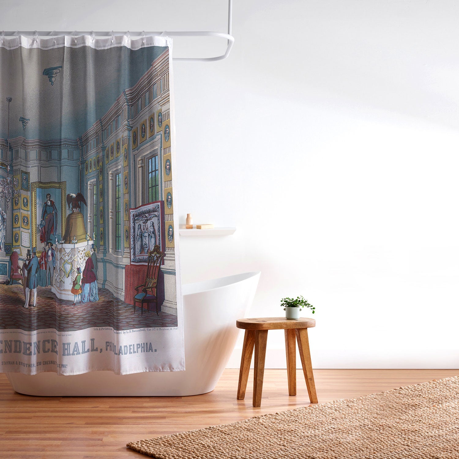 DENY Designs Independence Hall Shower Curtain