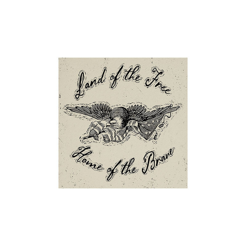 DENY Designs Land of the Free Eagle Art Print