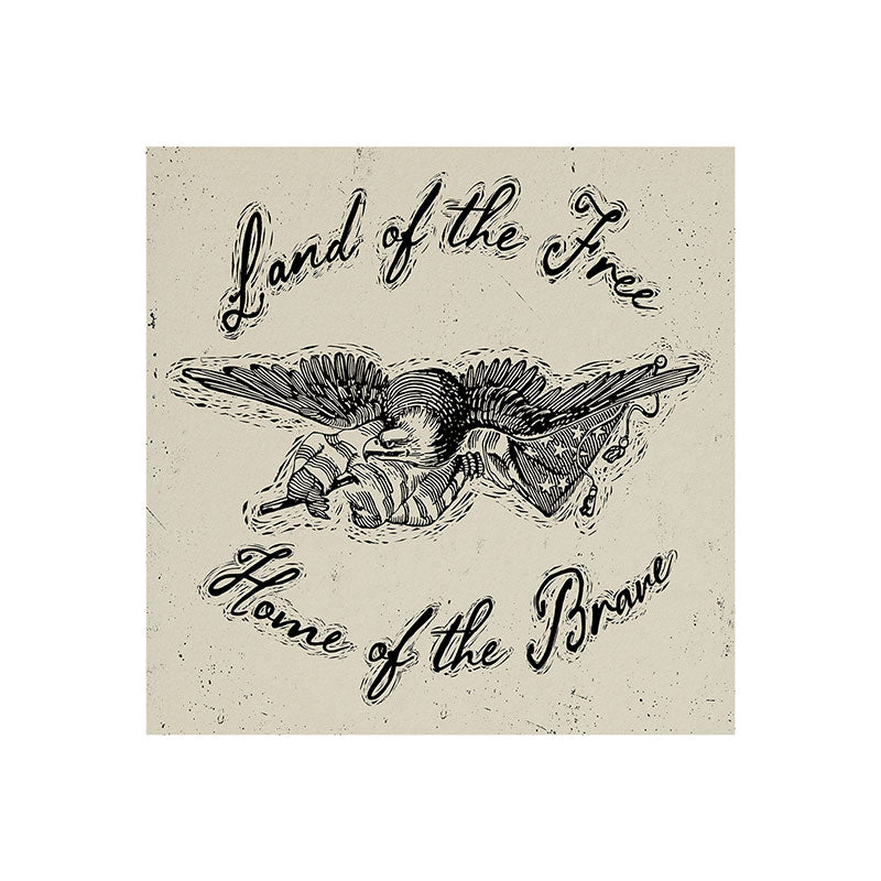 DENY Designs Land of the Free Eagle Art Print