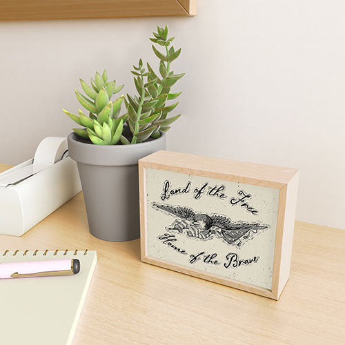 DENY Designs Land of the Free Eagle Framed Mini Art Print
