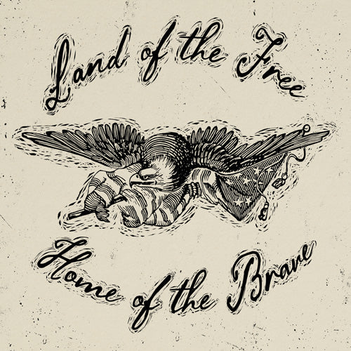 DENY Designs Land of the Free Eagle Shower Curtain