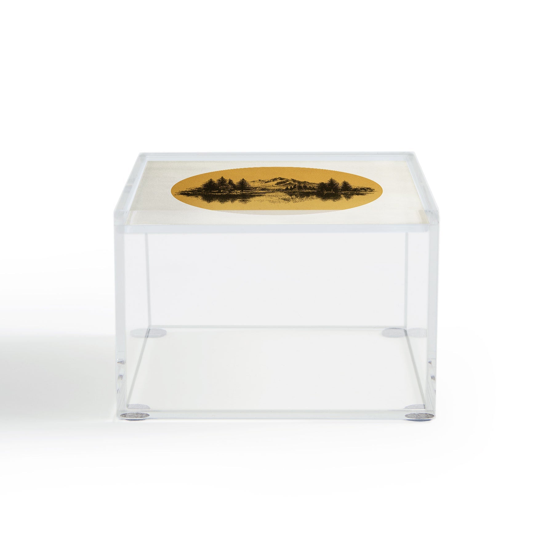 DENY Designs mountain vignette Acrylic Box