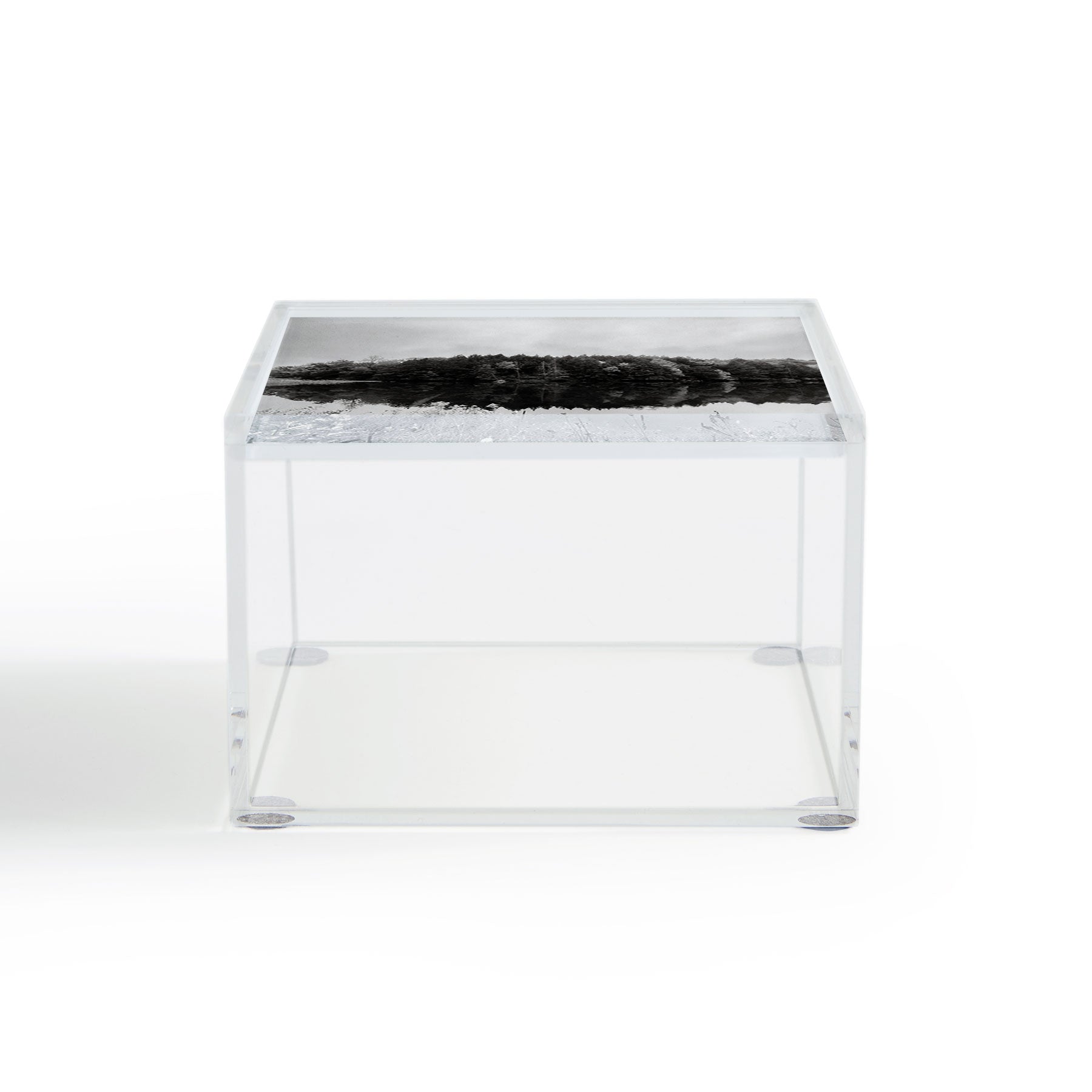 DENY Designs neversink Acrylic Box