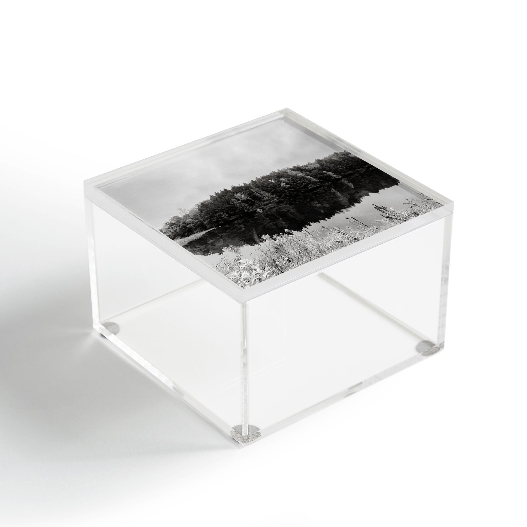 DENY Designs neversink Acrylic Box