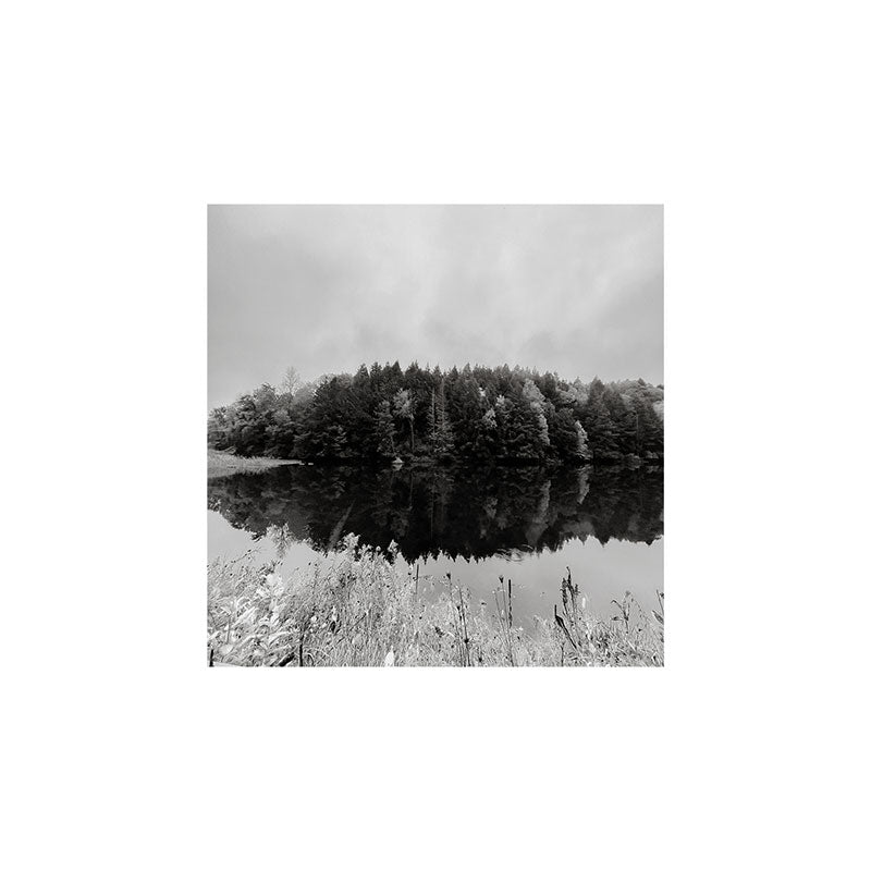 DENY Designs neversink Art Print
