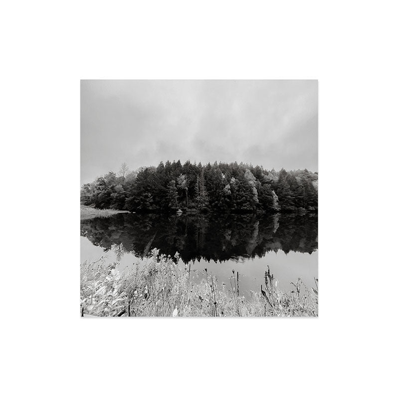 DENY Designs neversink Art Print