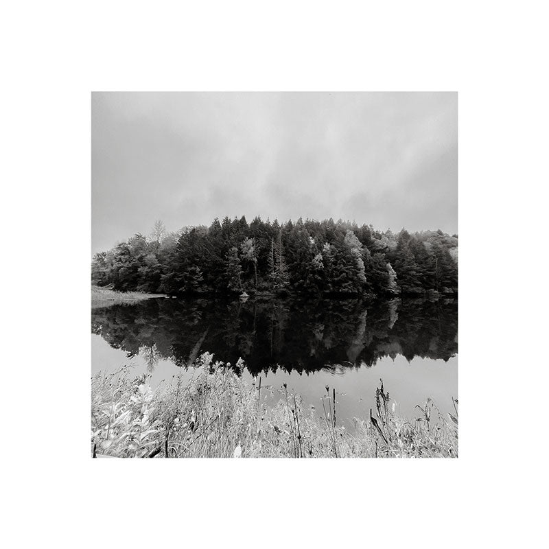 DENY Designs neversink Art Print