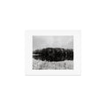 DENY Designs neversink Art Print
