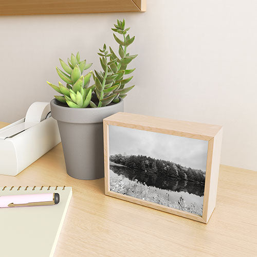 DENY Designs neversink Framed Mini Art Print