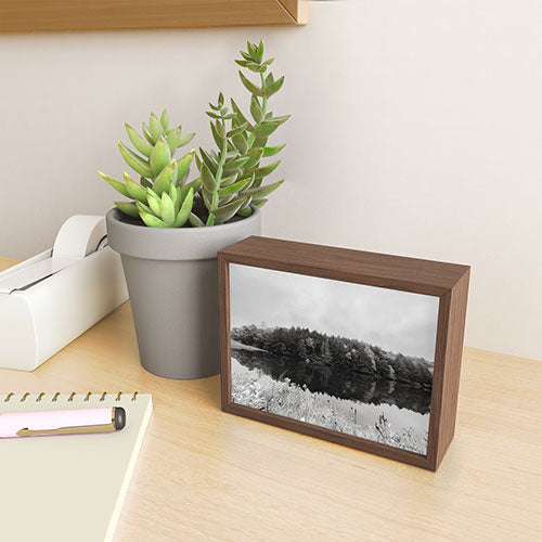 DENY Designs neversink Framed Mini Art Print