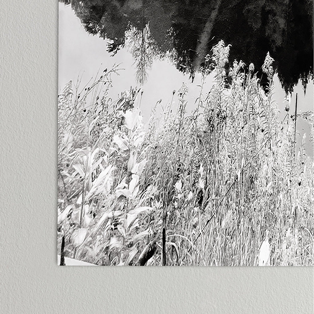 DENY Designs neversink Poster