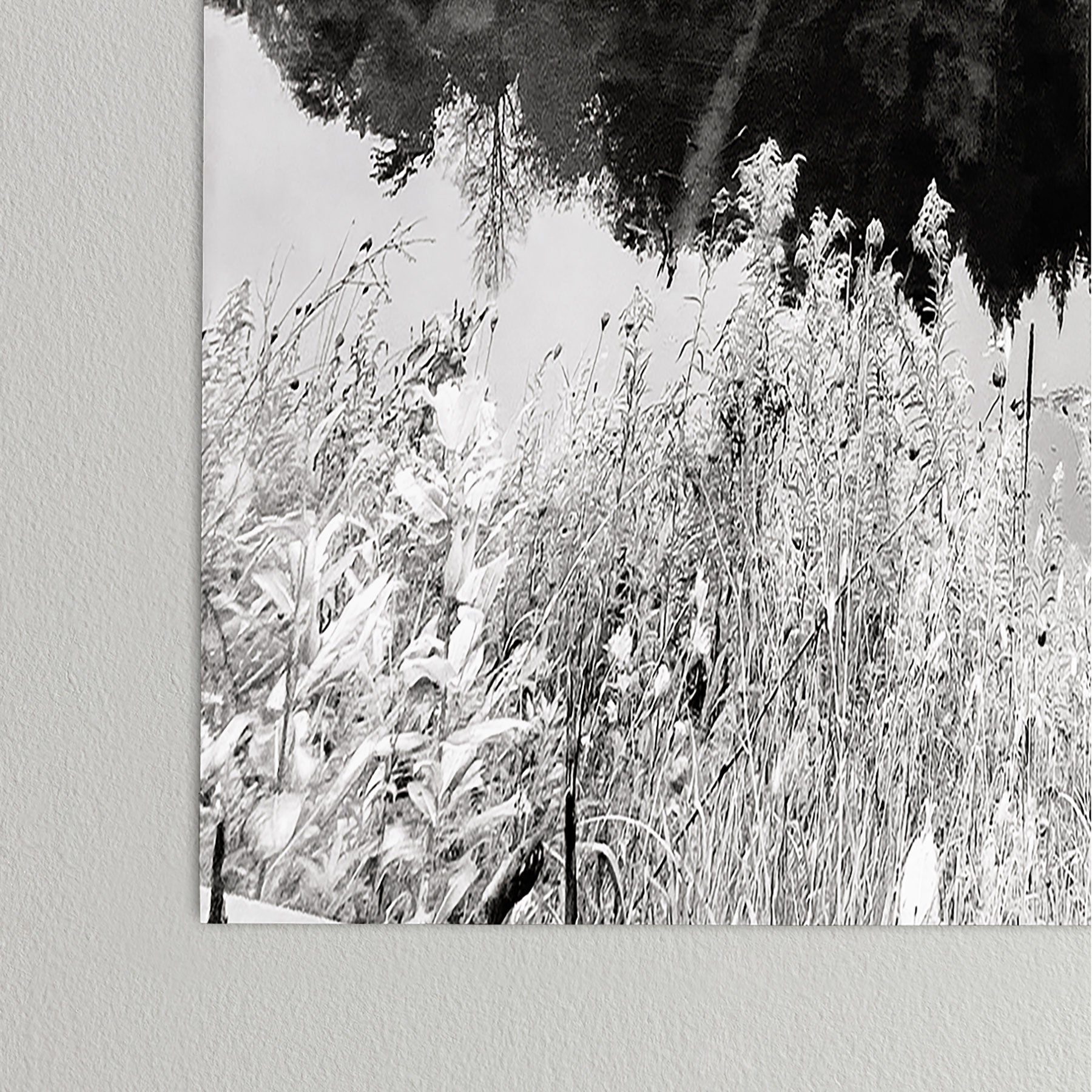 DENY Designs neversink Poster