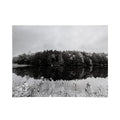 DENY Designs neversink Poster