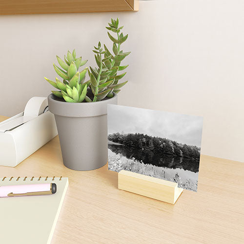 DENY Designs neversink Mini Art Print