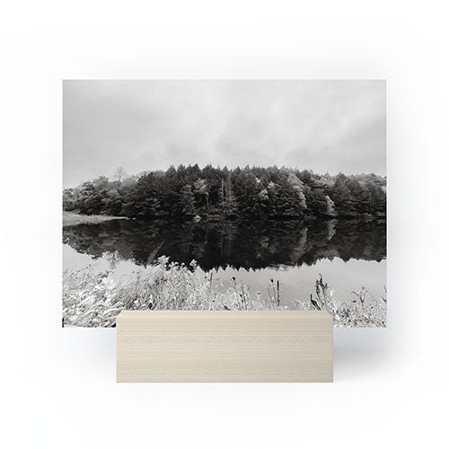 DENY Designs neversink Mini Art Print