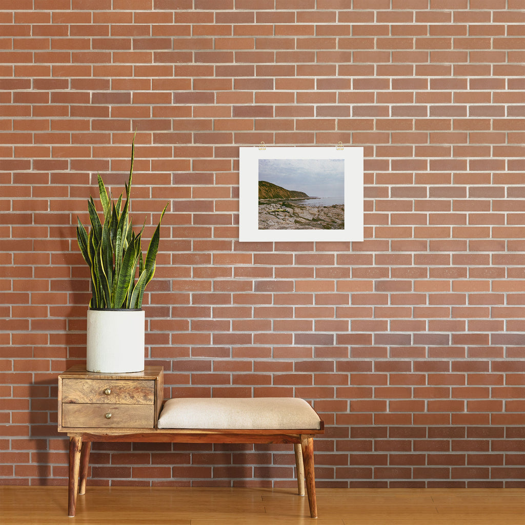 DENY Designs rocky beachside Art Print