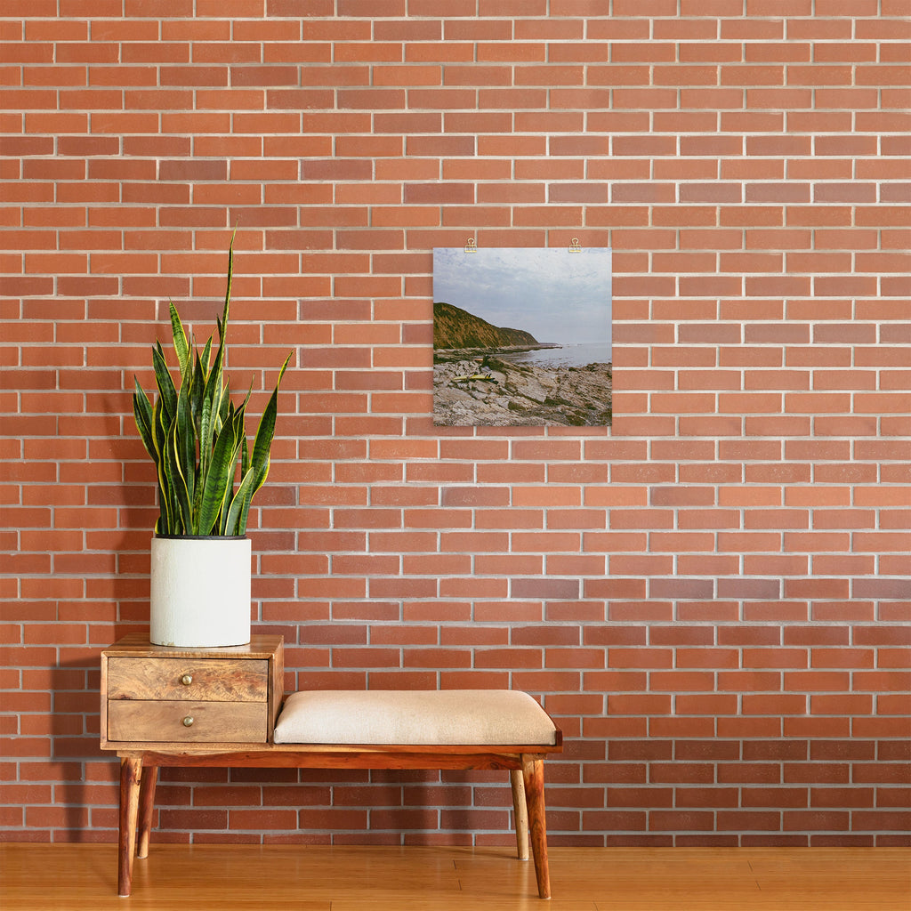 DENY Designs rocky beachside Art Print