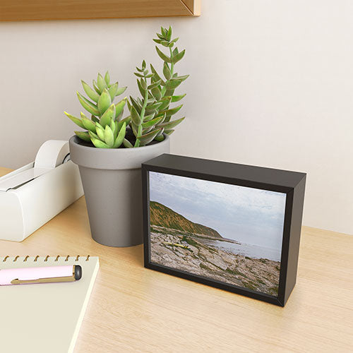DENY Designs rocky beachside Framed Mini Art Print