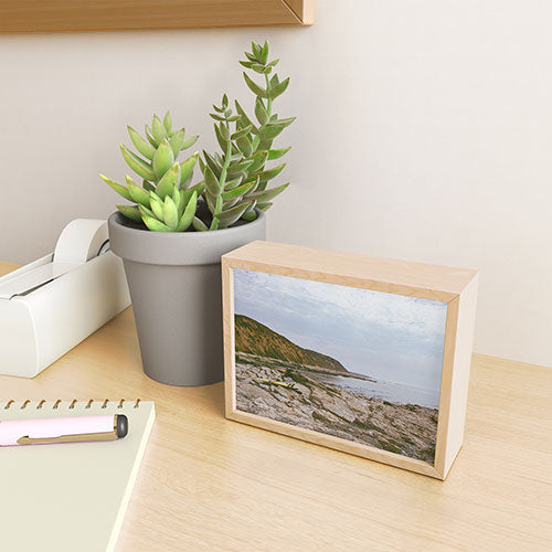 DENY Designs rocky beachside Framed Mini Art Print