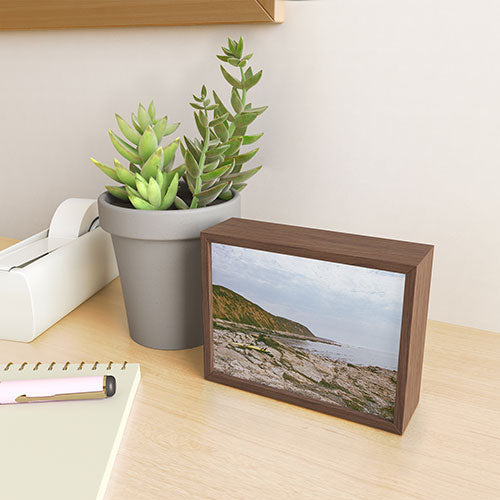 DENY Designs rocky beachside Framed Mini Art Print