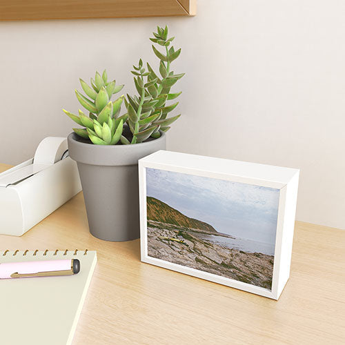 DENY Designs rocky beachside Framed Mini Art Print