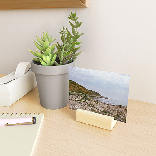 DENY Designs rocky beachside Mini Art Print