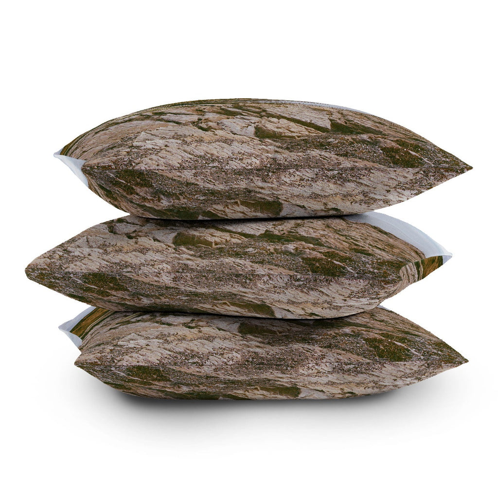 DENY Designs rocky beachside Outdoor Throw Pillow