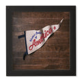 DENY Designs USA Stitched Pennant Framed Wall Art