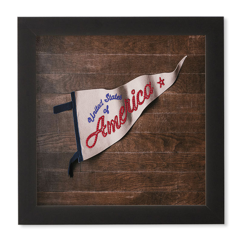DENY Designs USA Stitched Pennant Framed Wall Art