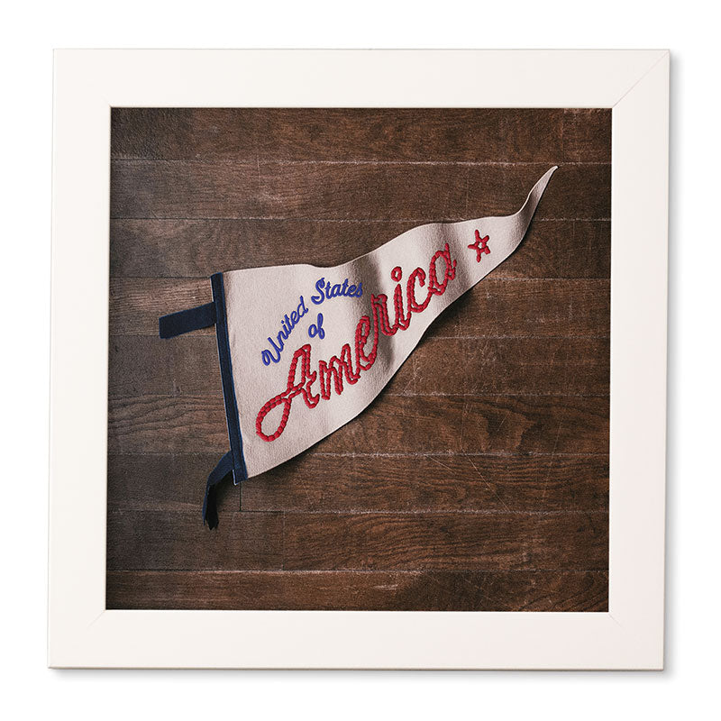 DENY Designs USA Stitched Pennant Framed Wall Art