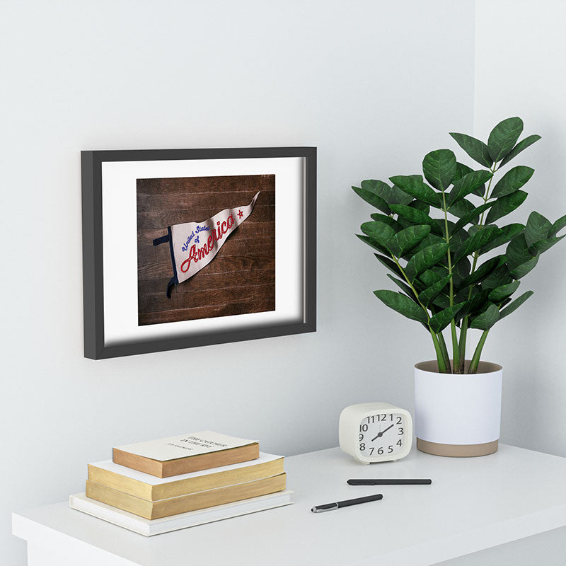 DENY Designs USA Stitched Pennant Recessed Framing Rectangle