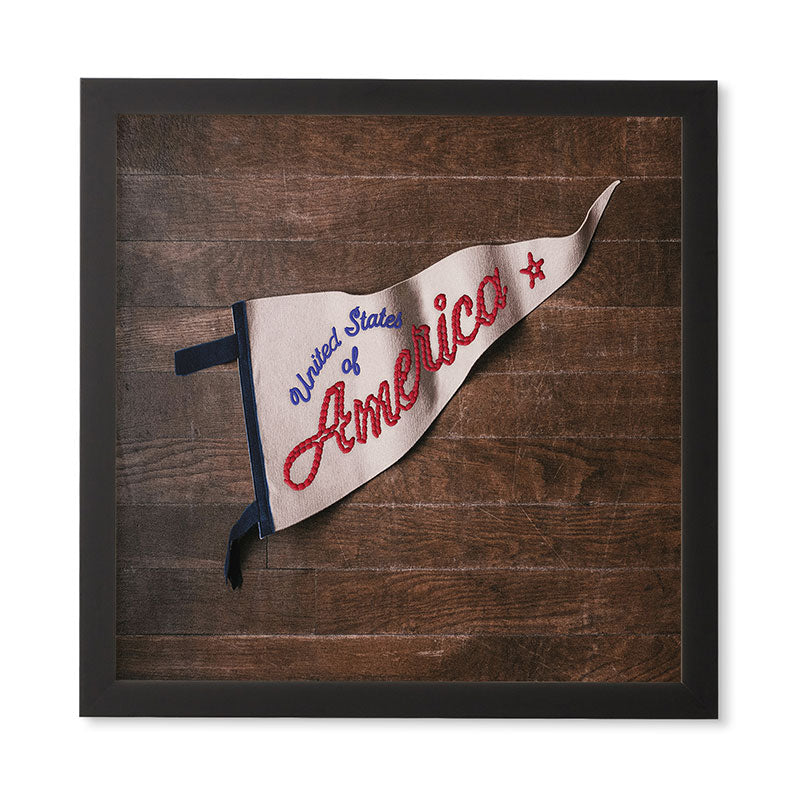 DENY Designs USA Stitched Pennant Framed Wall Art