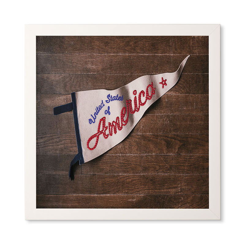 DENY Designs USA Stitched Pennant Framed Wall Art