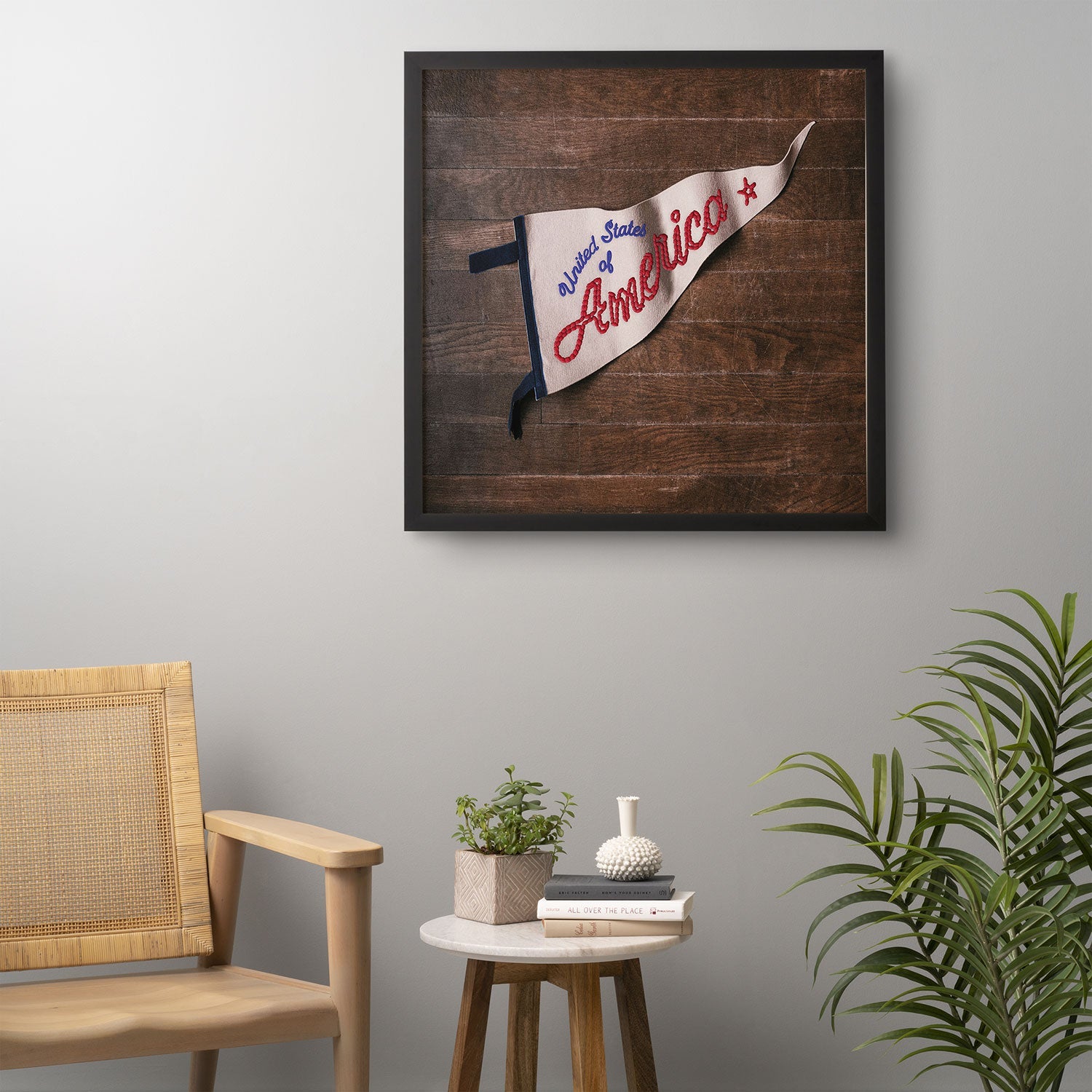 DENY Designs USA Stitched Pennant Framed Wall Art