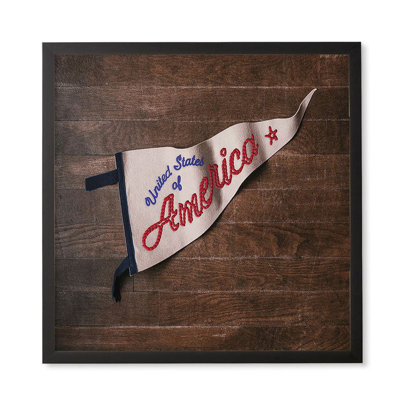 DENY Designs USA Stitched Pennant Framed Wall Art