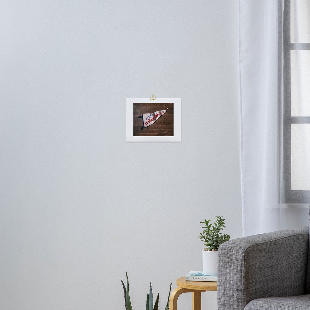 DENY Designs USA Stitched Pennant Art Print