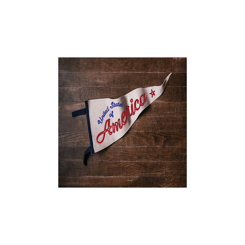 DENY Designs USA Stitched Pennant Art Print
