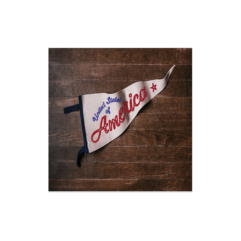 DENY Designs USA Stitched Pennant Art Print