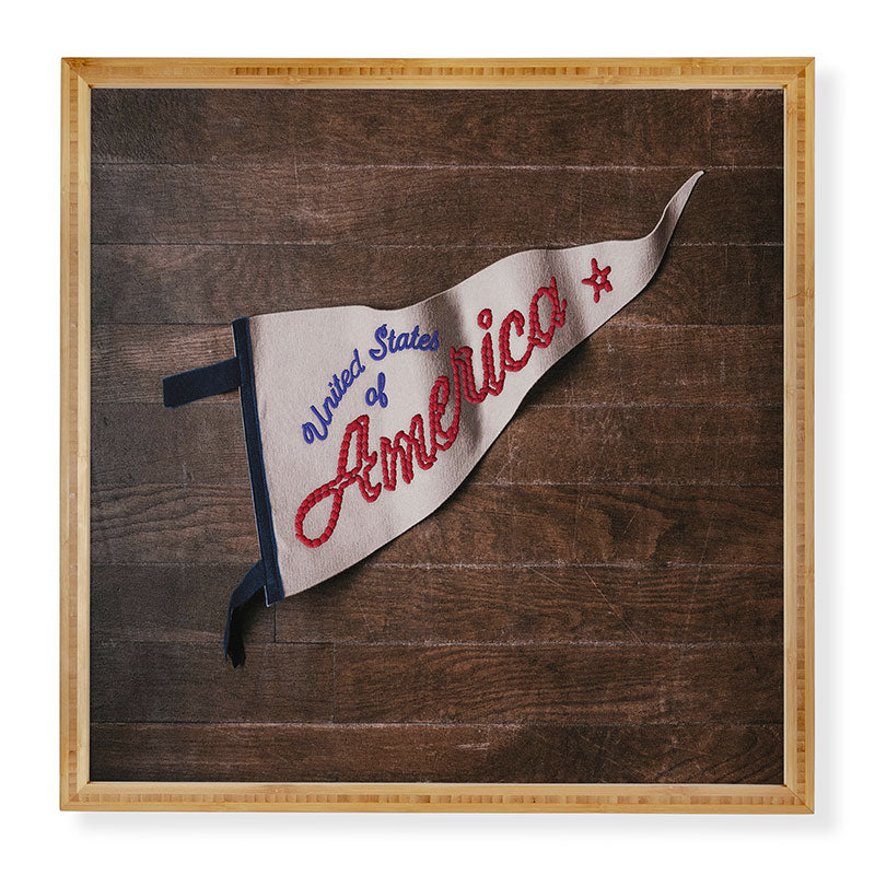 DENY Designs USA Stitched Pennant Framed Wall Art