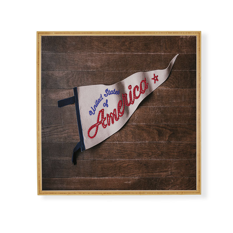 DENY Designs USA Stitched Pennant Framed Wall Art