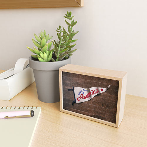 DENY Designs USA Stitched Pennant Framed Mini Art Print