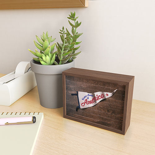 DENY Designs USA Stitched Pennant Framed Mini Art Print